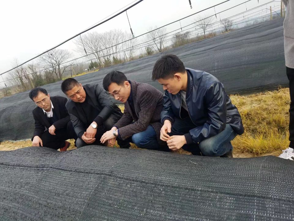 安農(nóng)大教授韋朝領(lǐng)、巢湖市科技局戴局長(zhǎng)親臨年晟農(nóng)業(yè)指導(dǎo)